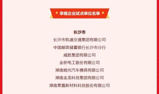 众鑫新材入选湖南省第二批服务职工综合体和幸福企业（园区）试点单位
